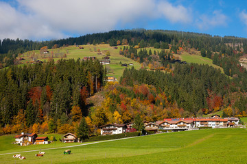 Alpine Village, Scenic in Europan Alps