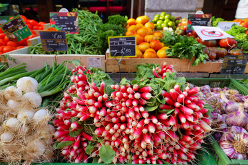 Summer harvested red radish and other vegetables in the market.