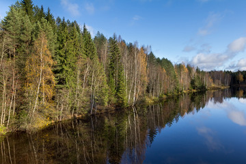 the forest is close to the river, autumn landscape