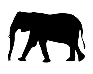 Obraz na płótnie Canvas Elefante silhouette - icona vettoriale 