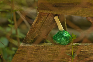 fresh garlic in brocade, glitter on the bosom of nature