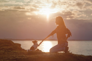 active young woman dog trainer give hand to dog chihuahua paw sitting near sea summer sunset during...