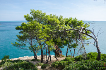 Mittelmeerküste in Italien am Gargano 