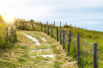 Fototapeta na wymiar couple hiking in a marked path on the coast of Hauts-de-France
