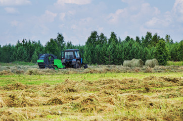Naklejka premium Hay harvesting with the help of special equipment