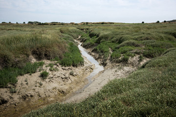 paysage havre st germain sur ay