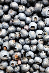 fresh plums on black background