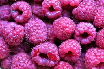 raspberry fruit background