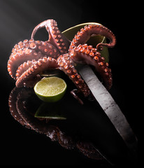 tuna and octopus