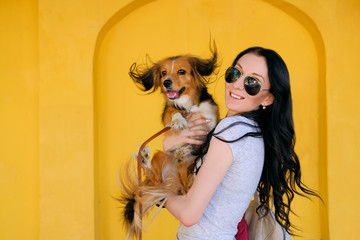 Portrait of Brunette woman and her dog on background of bright yellow wall. Funny spaniel mutt with...