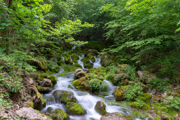 Naklejka na ściany i meble Waterfall in the deep forest on mountain.