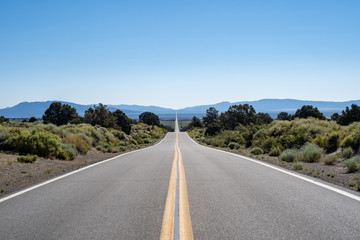 Empty road of desert, looking off to the White Mountains of Nevada. Taken in California off of State Route 167