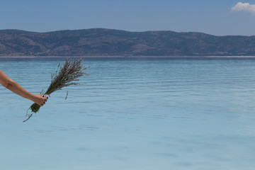 the woman hold lavender in the hand at the Salda lake from Turkey.