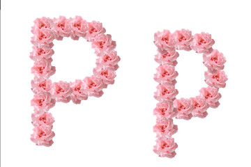 English alphabet from flowers of pink roses, letter P, collage.