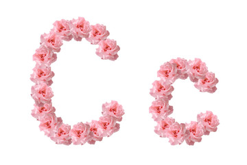 English alphabet from flowers of pink roses, letter C, collage.