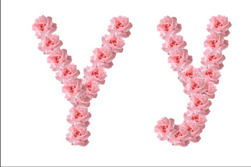 English alphabet from flowers of pink roses, letter Y, collage.