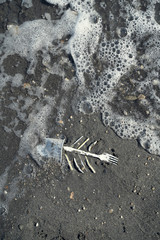 singleuse plastic waste on the beach as fishbone