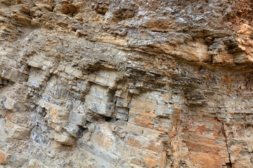 Grey rock bedding fold
