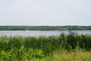 Grüne Havellandschaft