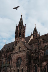 Fototapeta na wymiar Freiburger Münster, Münster Unserer Lieben Frau