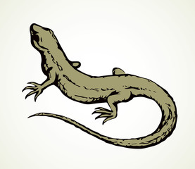 Little lizard. Vector drawing icon