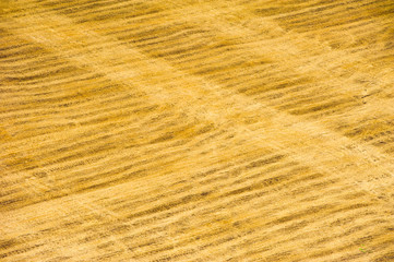 Fields and meadows. Aerial view. Landscape.