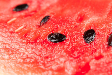 Watermelon isolated on white background.Copy space