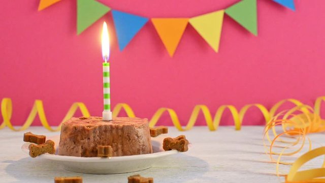 happy birthday cake for dog from wet food and treats with candle on pink party background