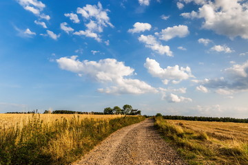 Obraz premium Road through the field and clouds on blue sky in summer day
