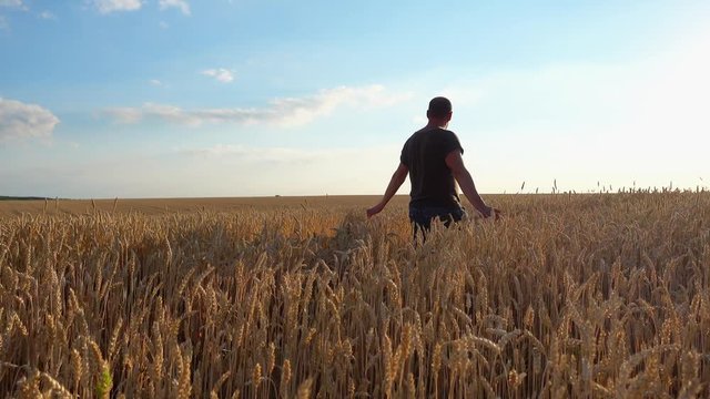 Young male farmer in a wheat field. Agronomist looks at the wheat harvest.