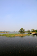 Fototapeta premium Nanhu Lake Natural scenery in Tangshan，China