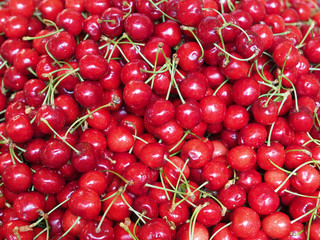 Many red sweet cherries