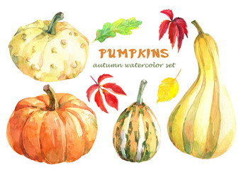 Different varieties of pumpkins. Hand drawn watercolor illustration.