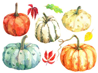 Different varieties of pumpkins. Hand drawn watercolor illustration.