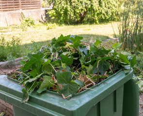 Gartenabfall - Grünabfall im Garten nach Gartenarbeit