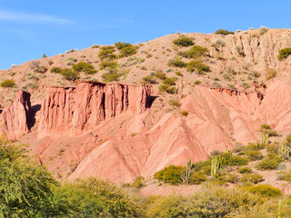 Rock formations in the Canon Del Inca, Tupiza Chichas Range, Andes, Southwestern Bolivia, South America