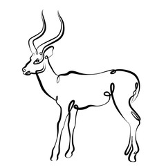 Continuous one line hand drawing gazelle
