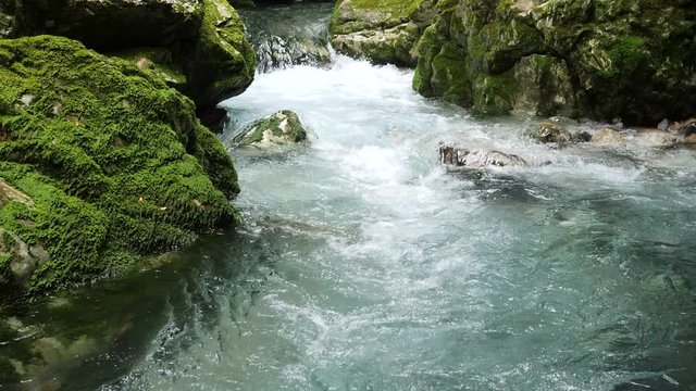水の流れ　円原川　伏流水　岐阜県　日本