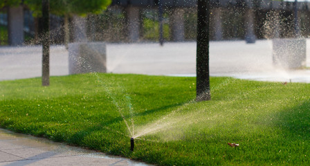 Watering  sprinkler  lawn