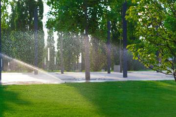 Watering  sprinkler  lawn