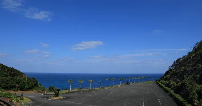 Palm tree at Ohama beach in Amami oshima Kagoshima