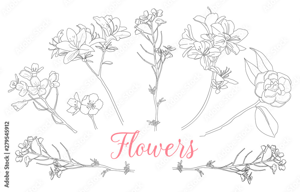 Wall mural Wild rose flowers drawing and sketch with line-art on white backgrounds. Monochrome vector illustrations.