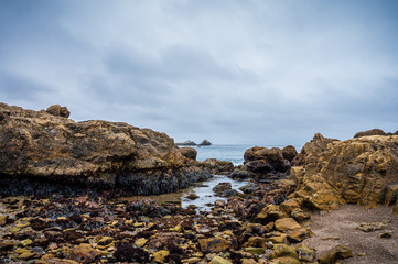 Fototapeta na wymiar Tidepool area of Point Lobos State Natural Reserve on the California coast.