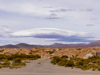 Landscape of the Laguna Negra Black Lagoon, Altiplano, Bolivia.