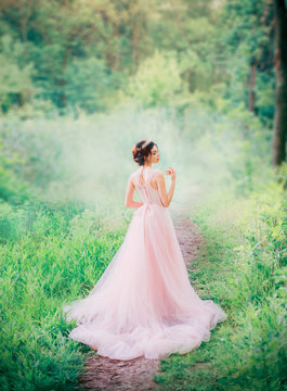 cute anime princess with open bare back to camera, slender charming lady in long light pink peach dress to floor, royal charm of kind girl with diadem, fabulous idea of sewing fashionable prom gown