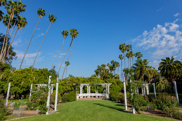 Fototapeta premium Beautiful nature scene of a park