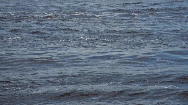 Cold water of wide northern river or sea. Dark blue surface with small waves. Natural background. Sunny day.