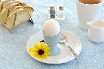 Boiled egg in eggcup with toast and tea