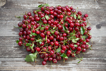 Sour cherries on the vintage wooden table. Freshly harvested red riped cherries with stalks and leaves, nice example of summer seasonal organic fruits from home garden, full of vitamins and  nutrients