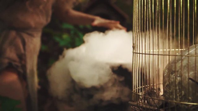 clairvoyant in dark forest, white smoke from magical boiling cauldron, mystical lady with bright thin hands looking at future, shooting details of scenery, B-roll, golden cell with skull, no face